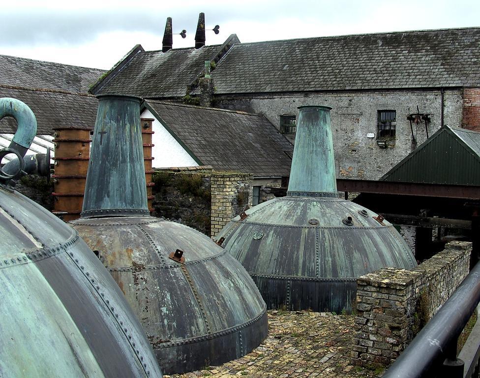 Fort House Bed & Breakfast Kilbeggan Zewnętrze zdjęcie